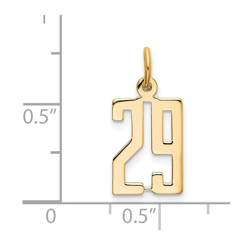14k Yellow Gold Small Elongated Number 29 Charm Pendant