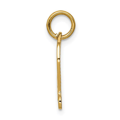 14k Yellow Gold DIPLOMA Charm Pendant