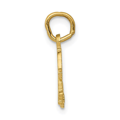 14k Yellow Gold Tiger Charm Pendant