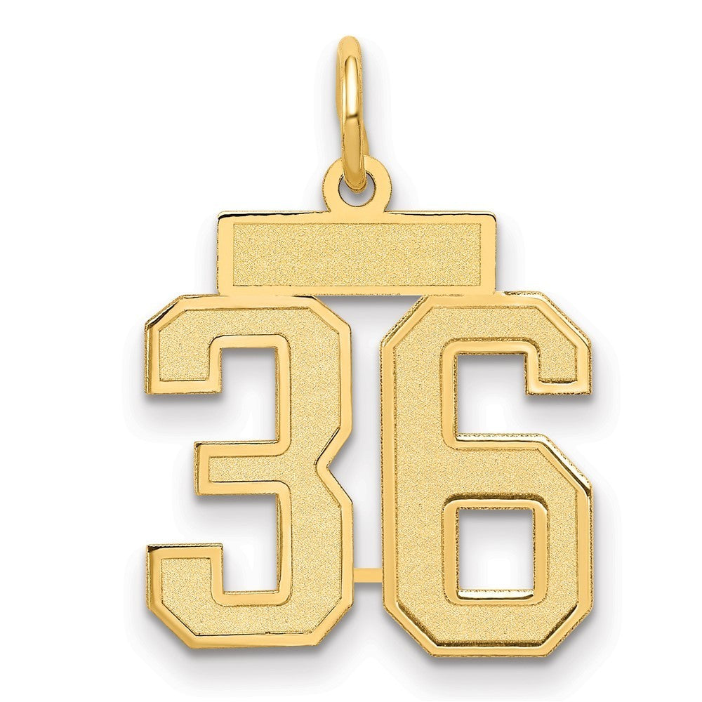 14k Yellow Gold Small Satin Number 36 Charm Pendant