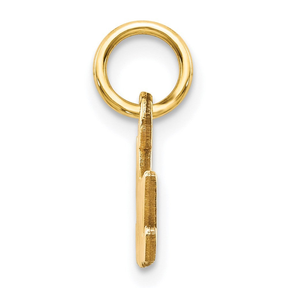 14k Yellow Gold Satin NANA Charm Pendant