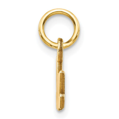 14k Yellow Gold Satin NANA Charm Pendant
