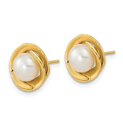 14k Yellow Gold 6-7mm White Button Freshwater Cultured Pearl Stud Earrings