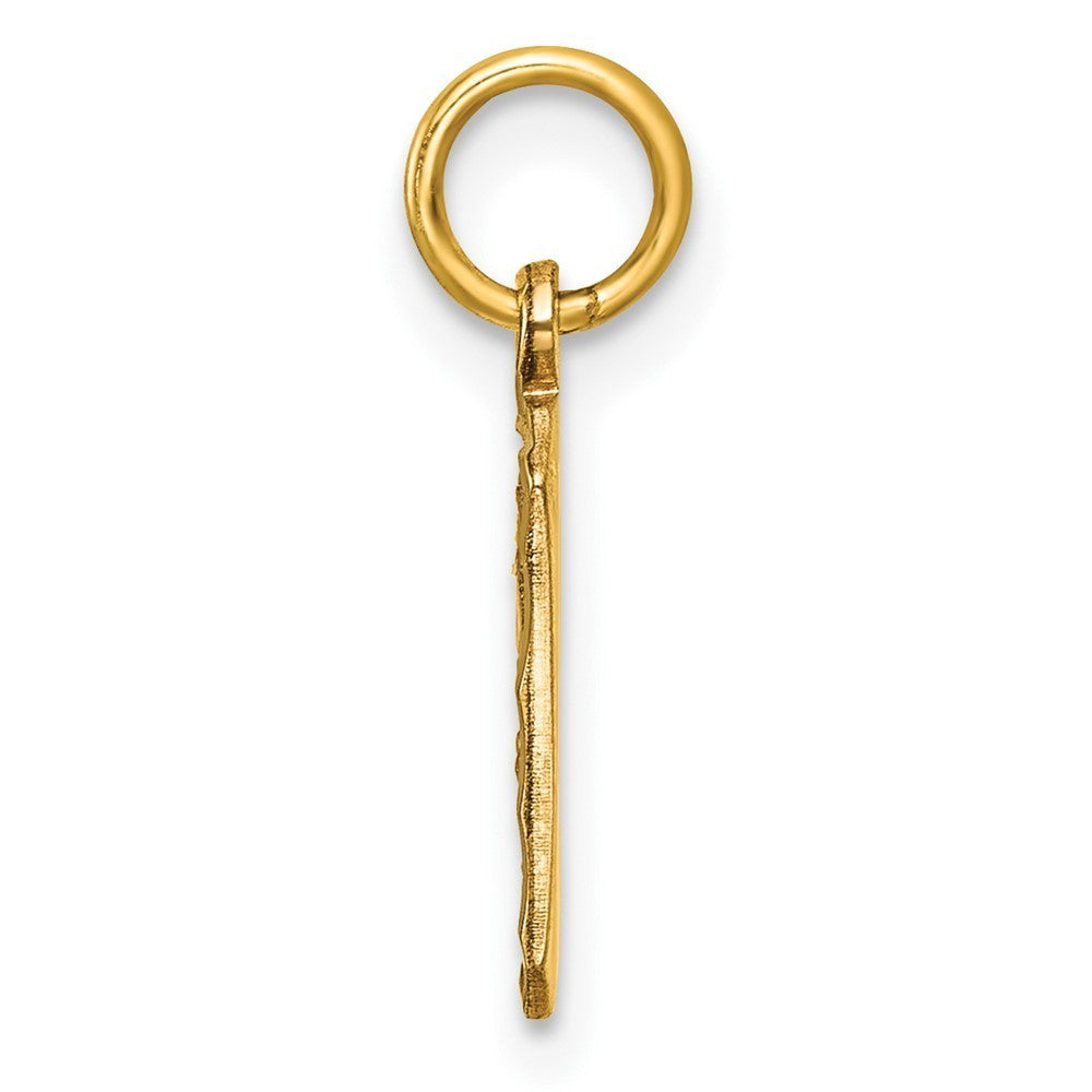 14k Yellow Gold Small Brushed Diamond-cut Number 9 Charm Pendant