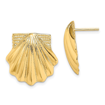 14k Yellow Gold Scallop Shell Stud Earrings
