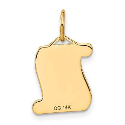 14k Yellow Gold DIPLOMA Charm Pendant