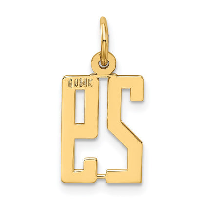 14k Yellow Gold Small Elongated Number 29 Charm Pendant