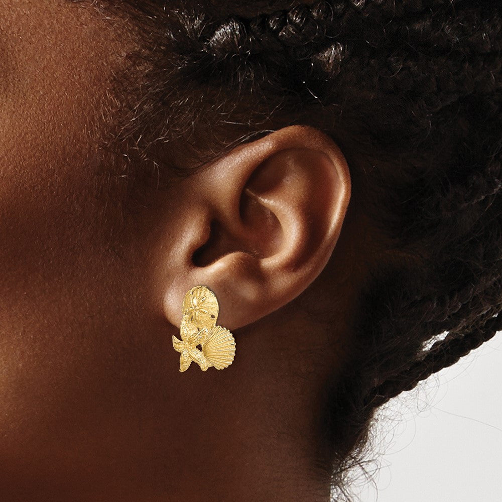 14k Yellow Gold Sand Dollar, Starfish, ,Scallop Cluster Stud Earrings