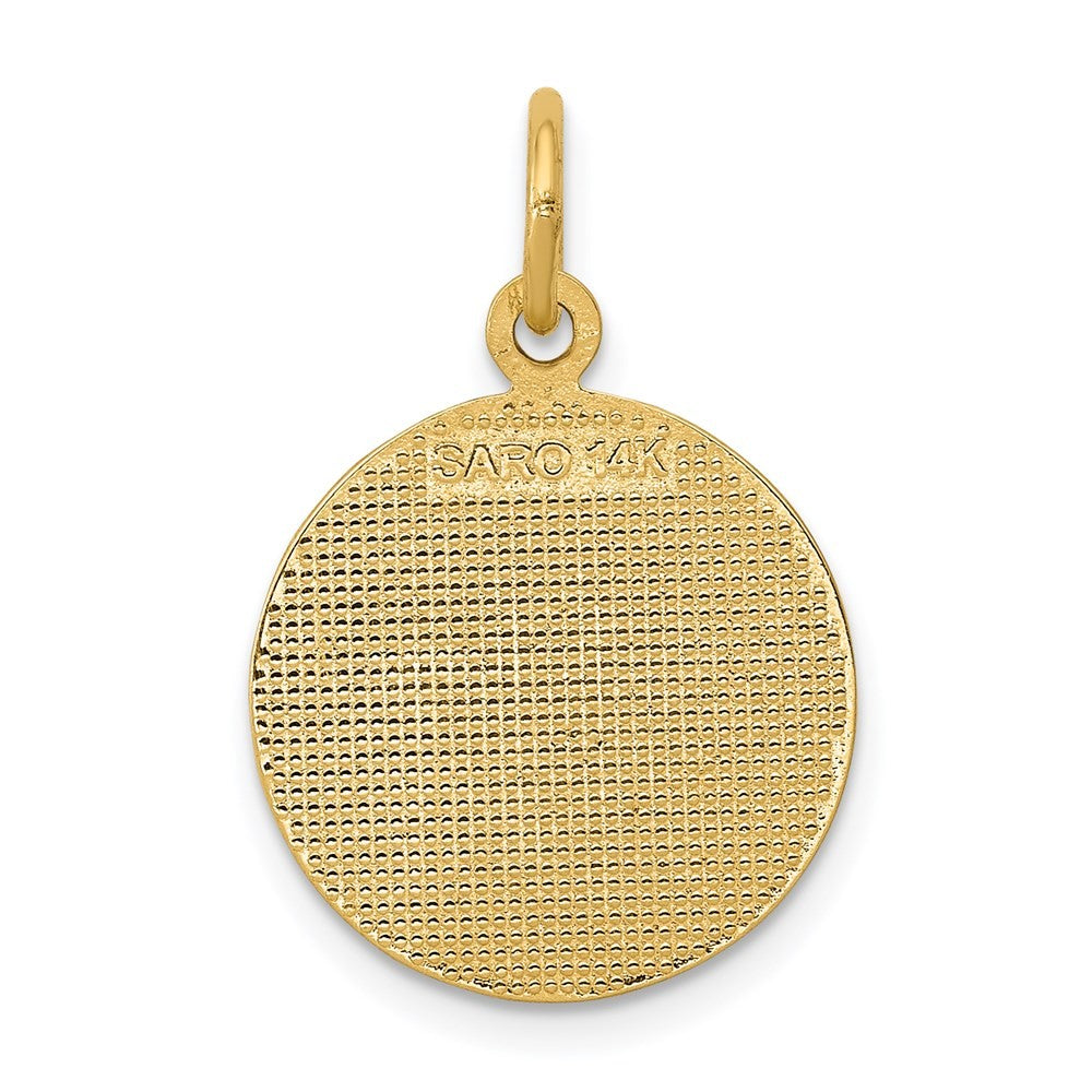 14k Yellow Gold Satin and Polished Communion Charm Pendant