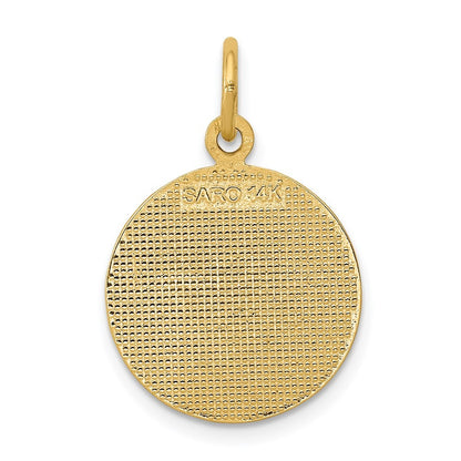 14k Yellow Gold Satin and Polished Communion Charm Pendant