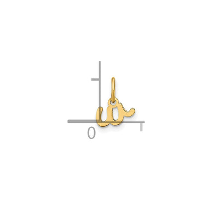 14k Yellow Gold Lower case Letter W Initial Charm Pendant