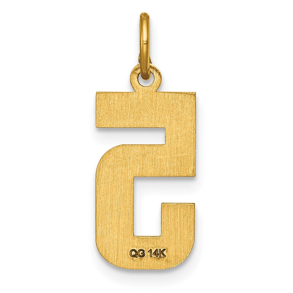 14k Yellow Gold Medium Diamond-cut Number 5 Charm Pendant