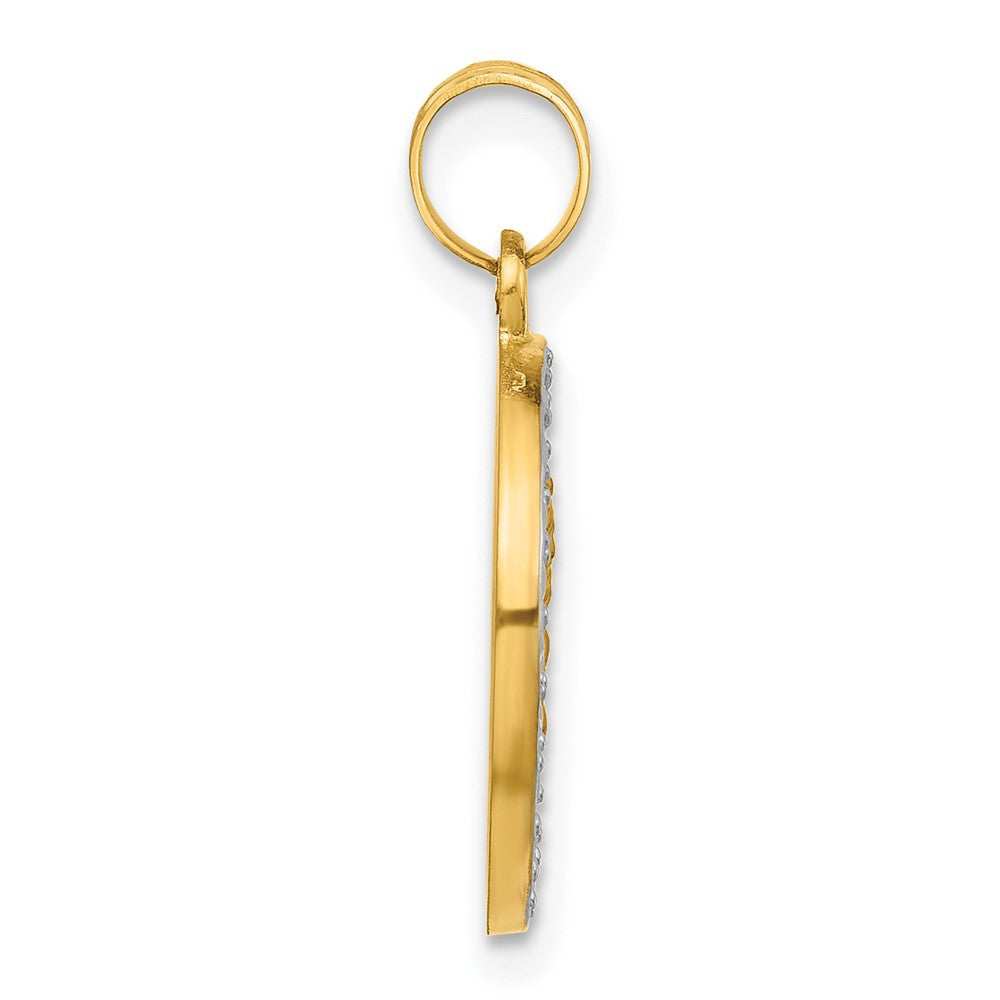 14k Yellow Gold and White Rhodium Hollow Our Lady of Mt Carmel Medal
