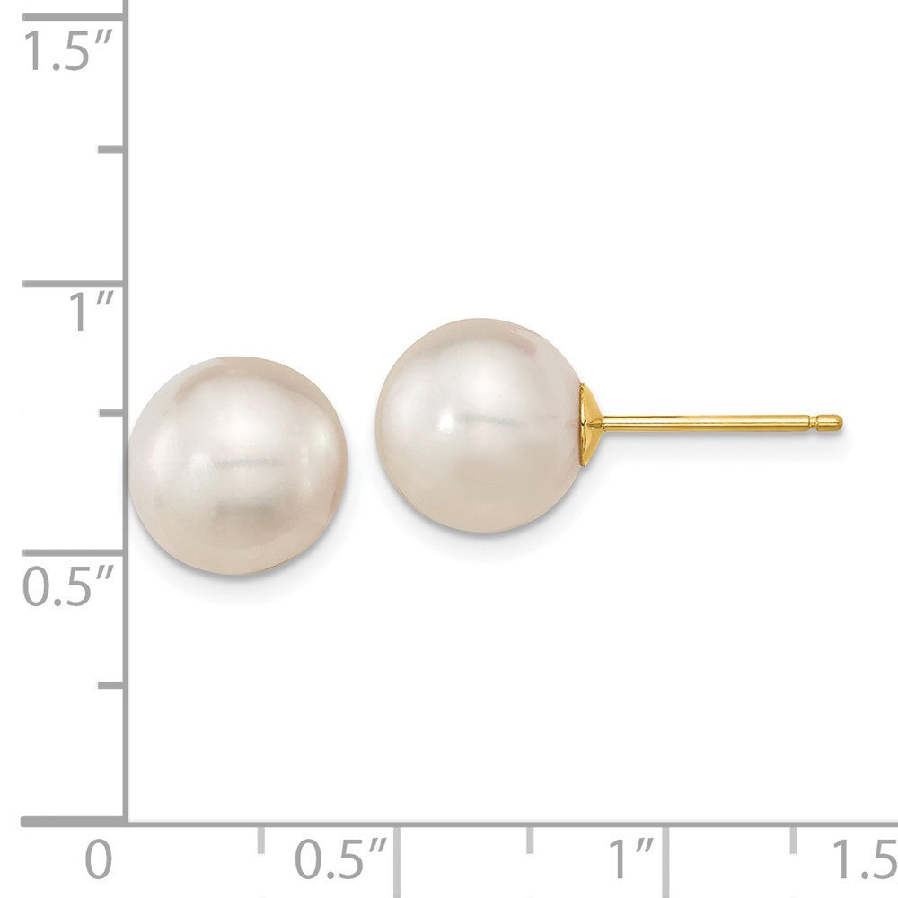 14k Yellow Gold 11mm White South Sea Saltwater Cultured Pearl Stud Earrings