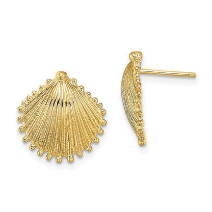 14k Yellow Gold Scallop Shell Stud Earrings