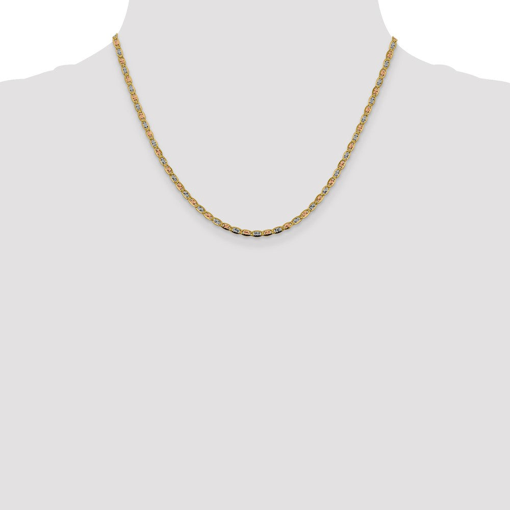 14k Tri-color Gold 2.75mm Valentino with Lobster Clasp Chain Necklace 18"