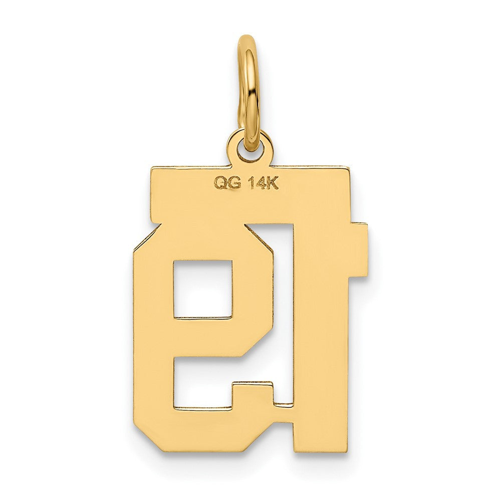 14k Yellow Gold Small Polished Number 19 Charm Pendant