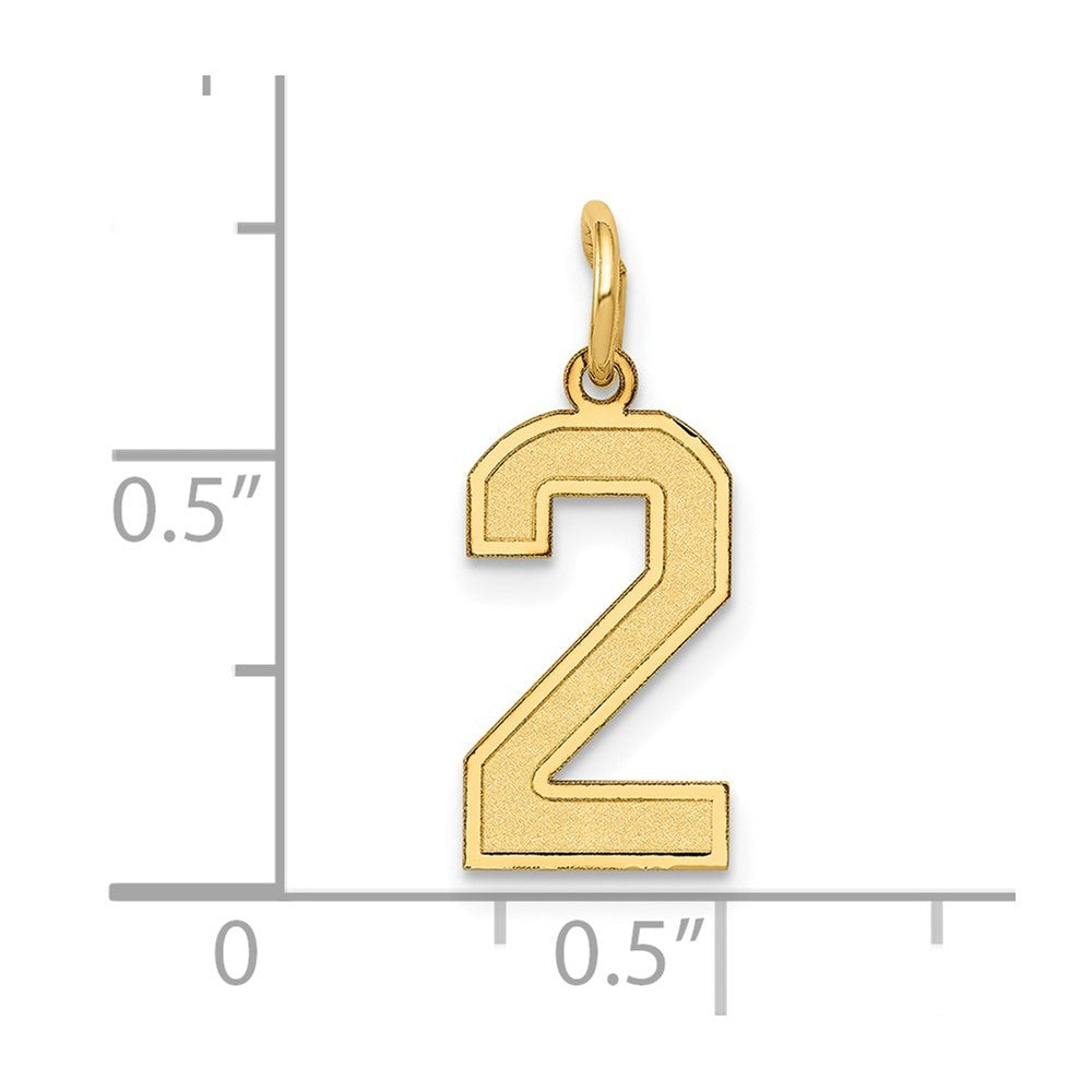 14k Yellow Gold Small Satin Number 2 Charm Pendant