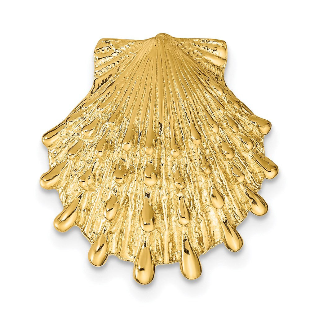 14k Yellow Gold Lion's Paw Shell Slide