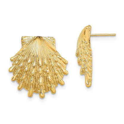 14k Yellow Gold Lion's Paw Shell Stud Earrings