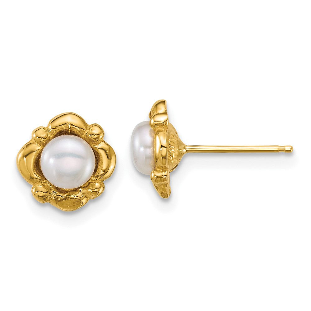 14k Yellow Gold Polished 4-5mm Button Freshwater Cultured Pearl Stud Earrings