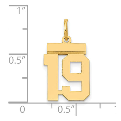 14k Yellow Gold Small Polished Number 19 Charm Pendant
