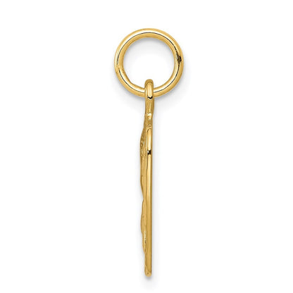 14k Yellow Gold Satin and Diamond-Cut Angel Charm Pendant