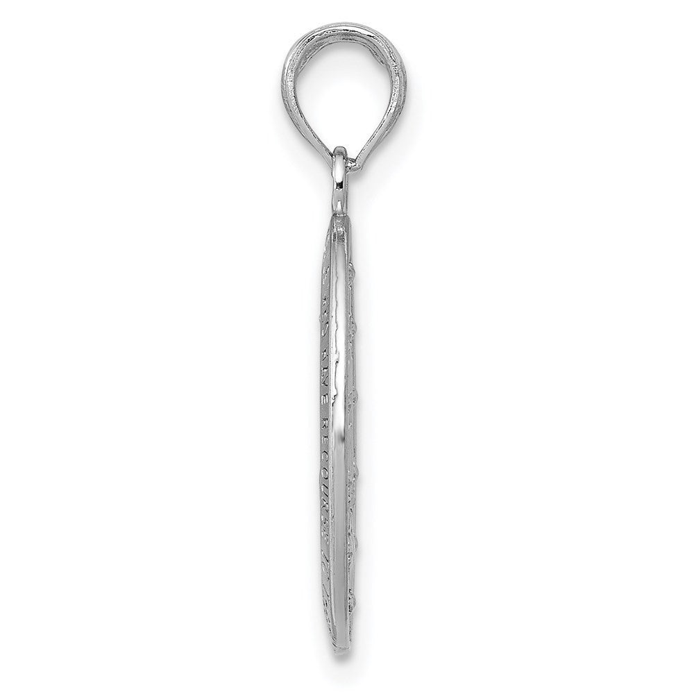 14k White Gold Miraculous Medal Pendant