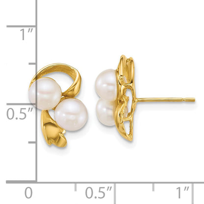 14k Yellow Gold Polished 5-6mm Button Freshwater Cultured 2-Pearl Stud Earrings