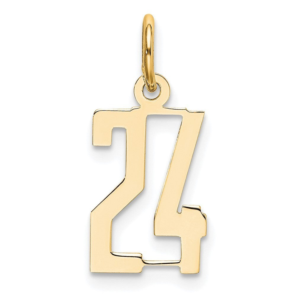 14k Yellow Gold Small Elongated Number 24 Charm Pendant