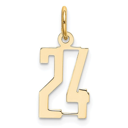 14k Yellow Gold Small Elongated Number 24 Charm Pendant