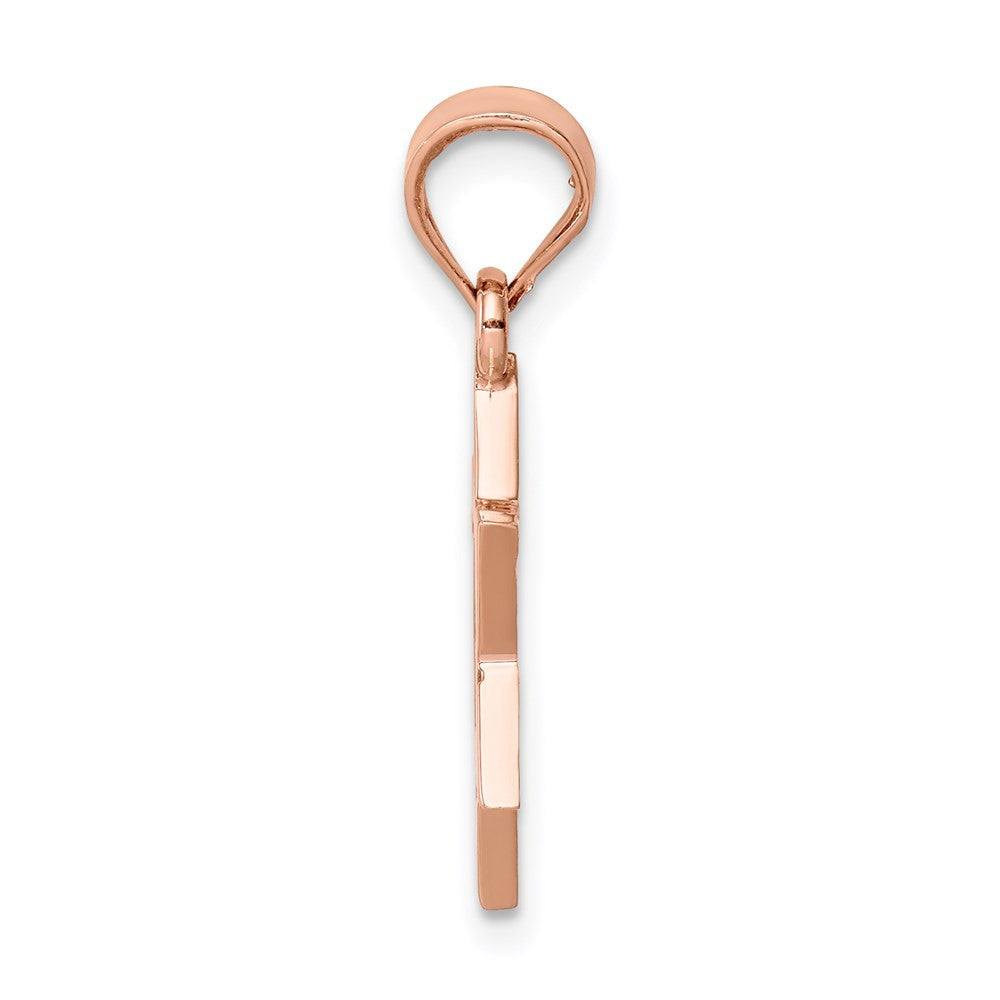 14K Rose Gold Polished Star of David Pendant