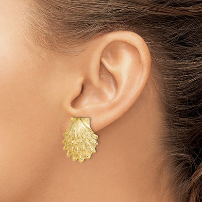 14k Yellow Gold Lion's Paw Shell Stud Earrings