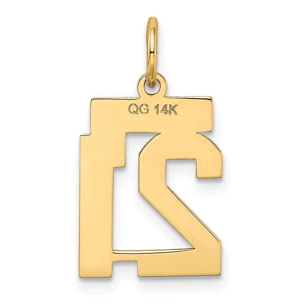 14k Yellow Gold Small Satin Number 21 Charm Pendant
