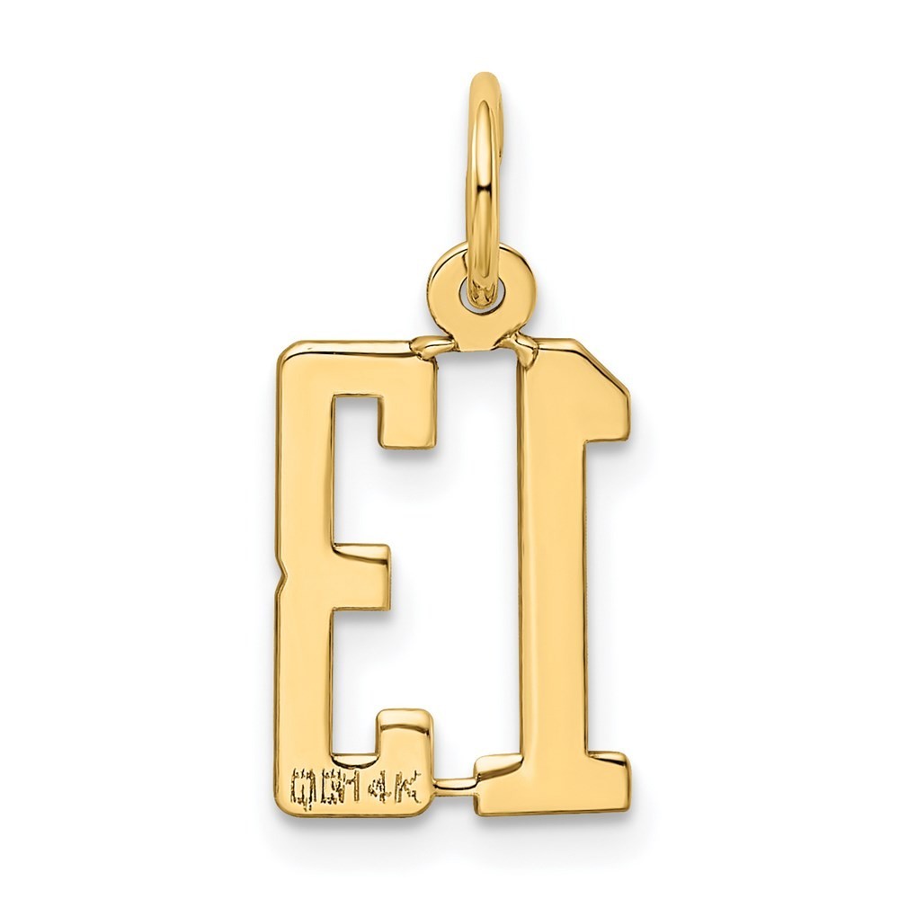 14k Yellow Gold Small Elongated Number 13 Charm Pendant