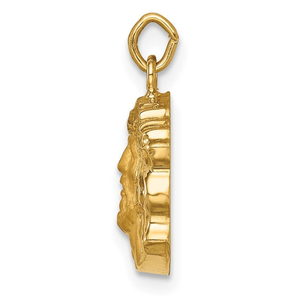 14k Yellow Gold Hollow Polished/Satin Small Jesus Medal