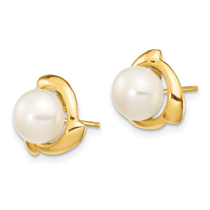 14k Yellow Gold 7-8mm White Button Freshwater Cultured Pearl Stud Earrings