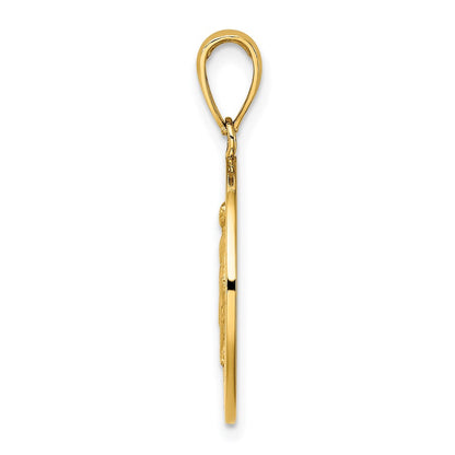 14k Yellow Gold Polished and Satin Miraculous Medal Charm Pendant