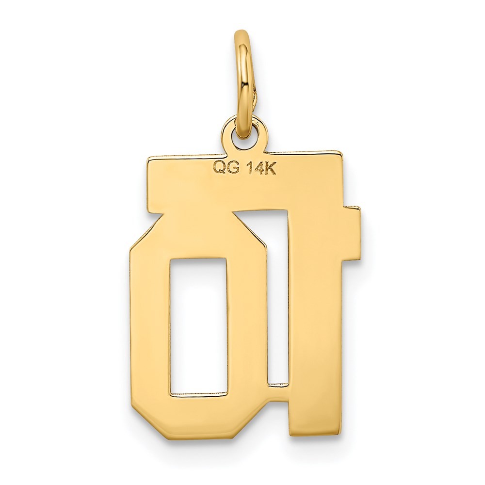 14k Yellow Gold Small Satin Number 10 Charm Pendant