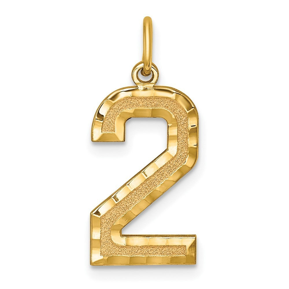14k Yellow Gold Large Brushed Diamond-cut Number 2 Charm Pendant