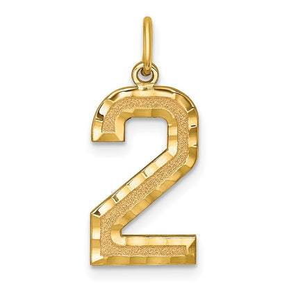 14k Yellow Gold Large Brushed Diamond-cut Number 2 Charm Pendant