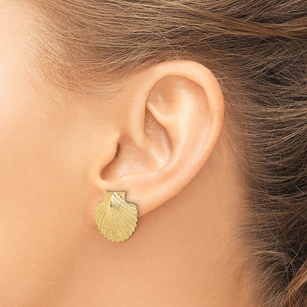 14k Yellow Gold 2-D Textured Scallop Shell Stud Earrings