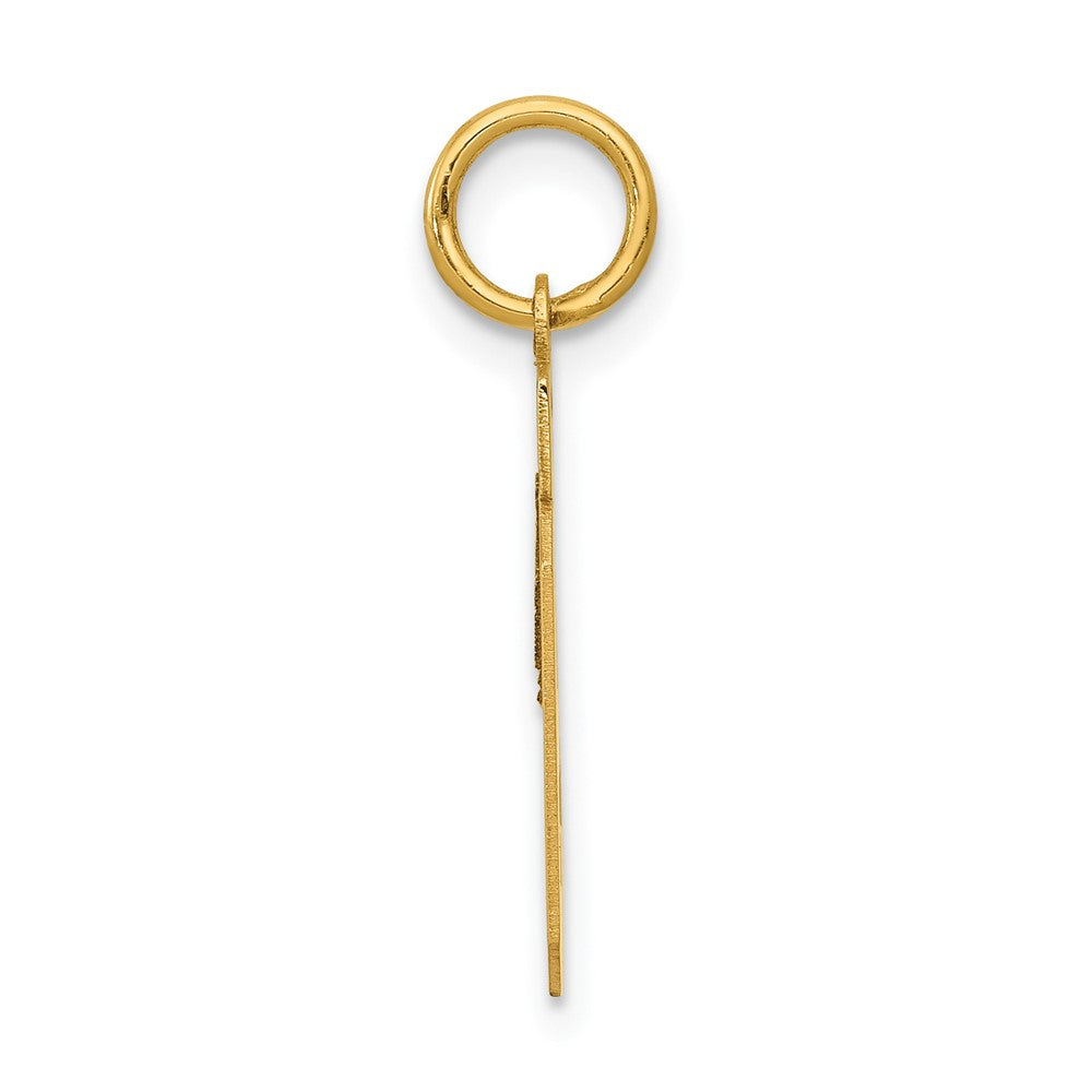 14k Yellow Gold Small Polished Number 19 Charm Pendant