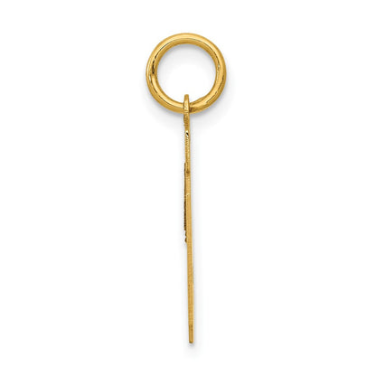 14k Yellow Gold Small Polished Number 19 Charm Pendant