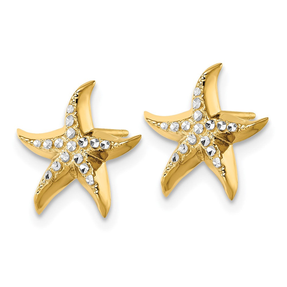 14k Yellow Gold w/Rhodium Starfish Stud Earrings