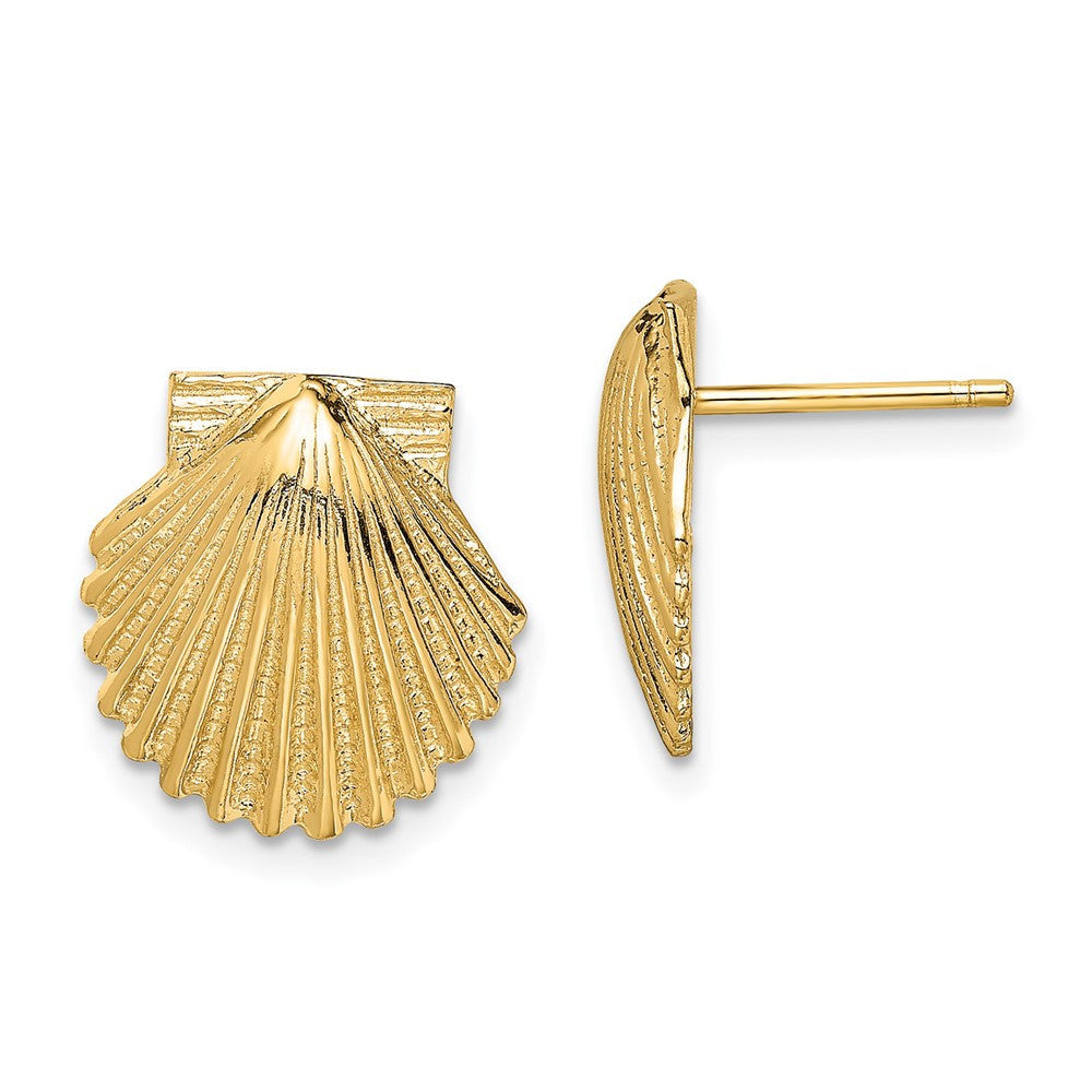 14k Yellow Gold 2-D Polished Scallop Shell Stud Earrings