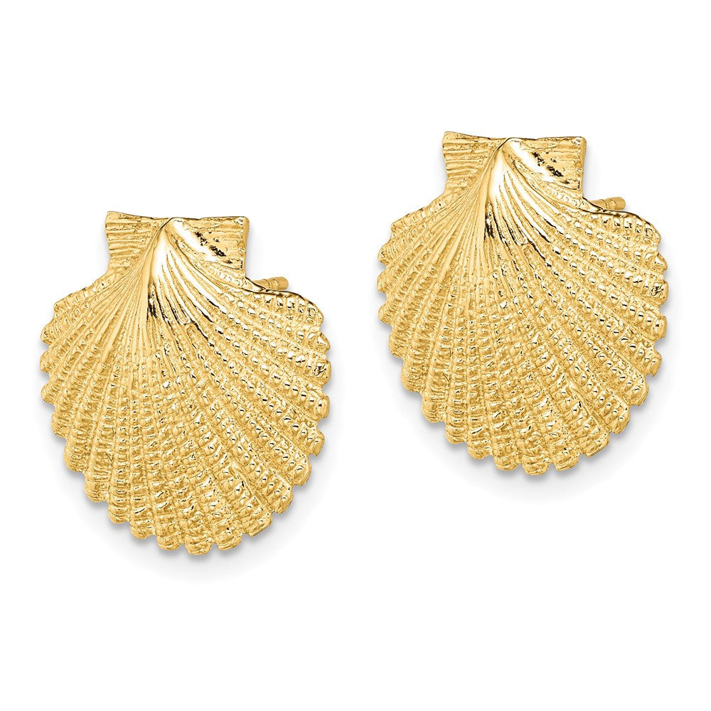 14k Yellow Gold 2-D Textured Scallop Shell Stud Earrings