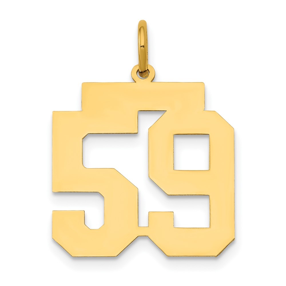 14k Yellow Gold Medium Polished Number 59 Charm Pendant
