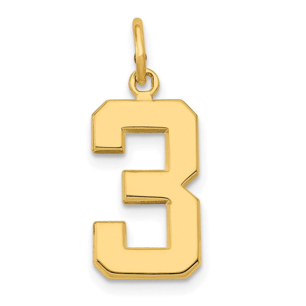 14k Yellow Gold Medium Polished Number 3 Charm Pendant
