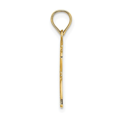 14k Yellow Gold Polished Male Graduation Profile Charm Pendant